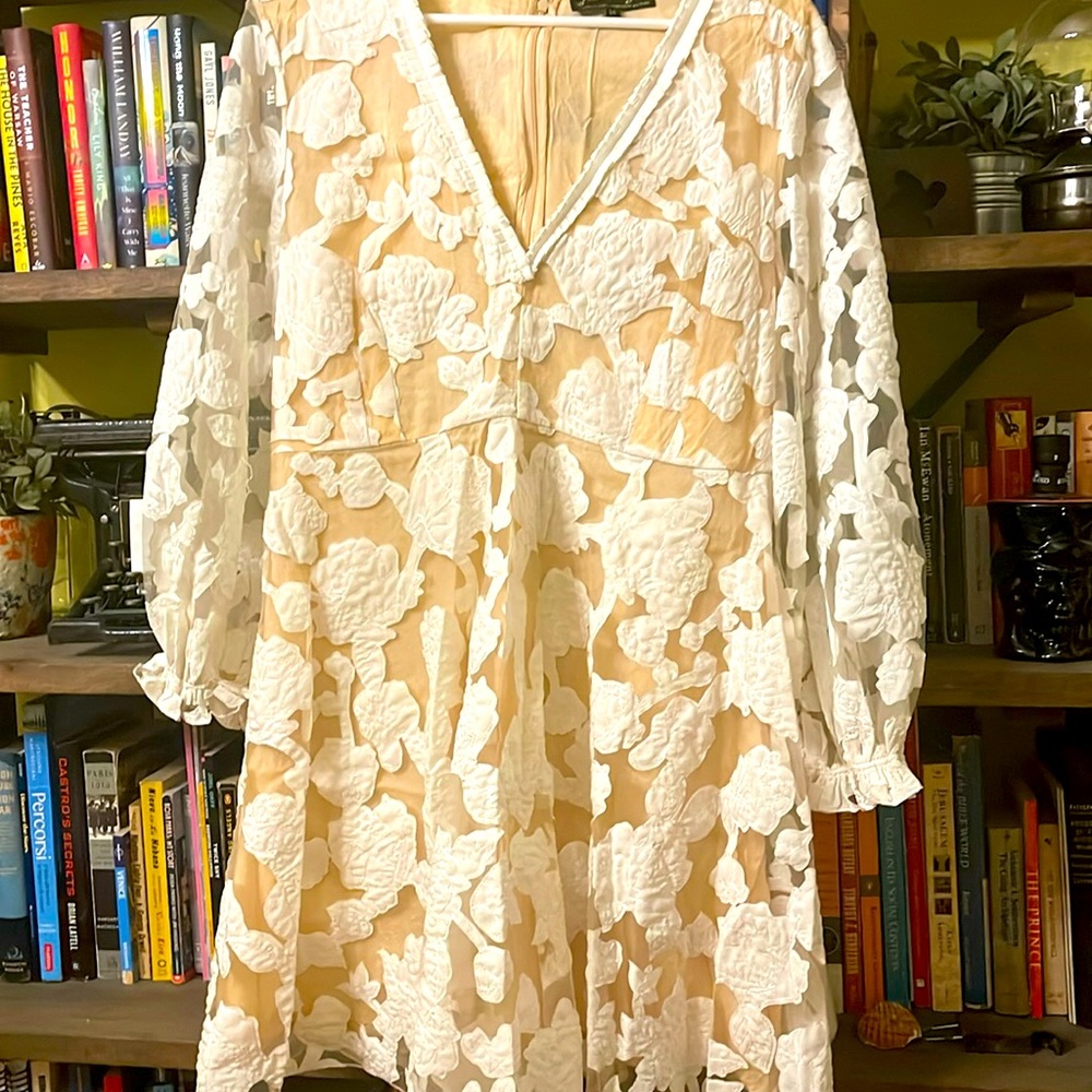 Anthropologie Geisha Designs Loren Appliqued Tulle Mini Dress